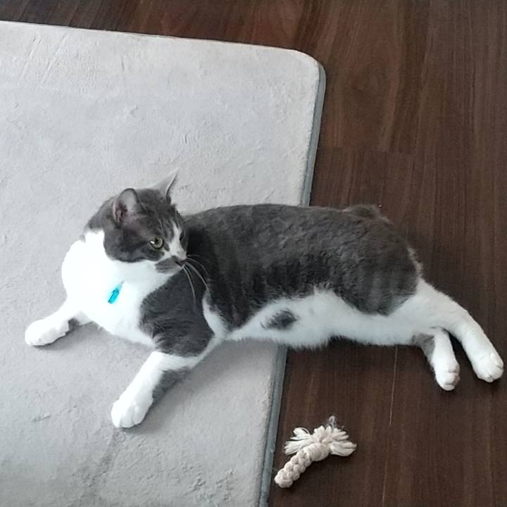 C8db6ff3 b521 4dc8 9c2f 66e30d0692a7 1631085353385