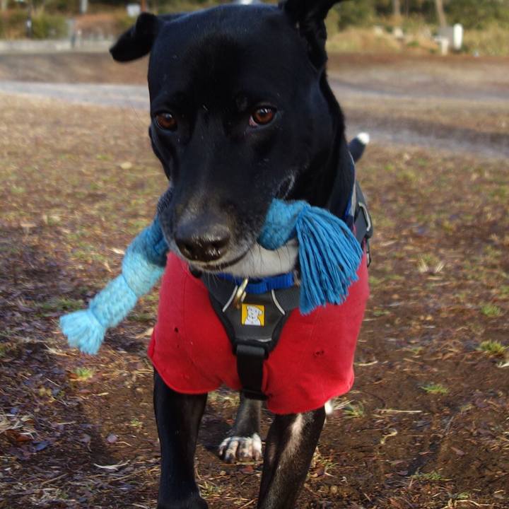 C8db7ce8 7ef8 4a27 aa24 a5287c520673 1643245997397