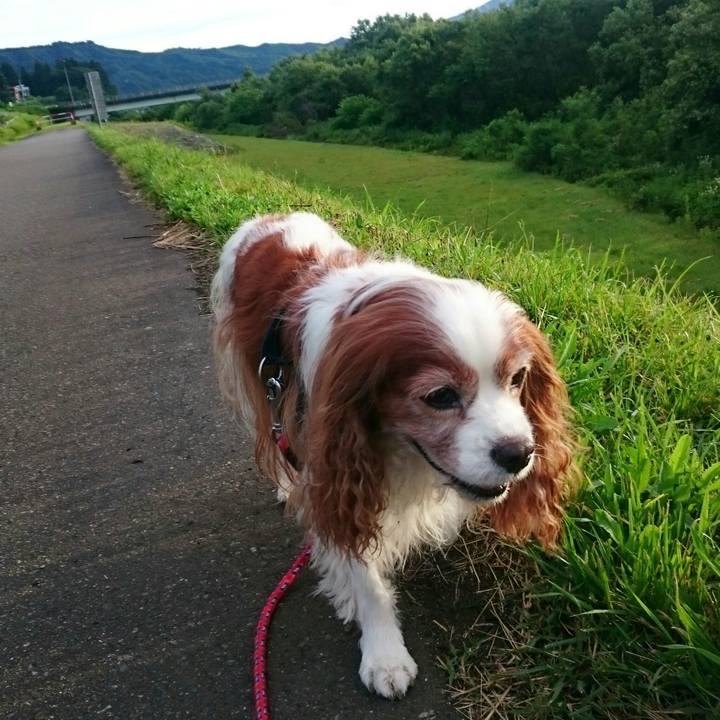 C8db80c6 5656 4ed0 87fa 141270862996 1562447135200