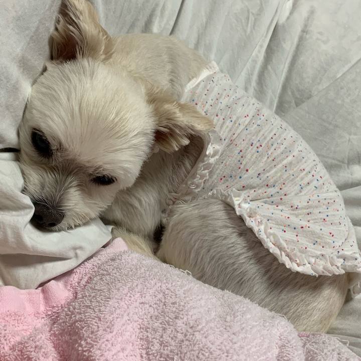 C8dbef67 b11d 475f 8ff4 379a546e9b85 1570617480605