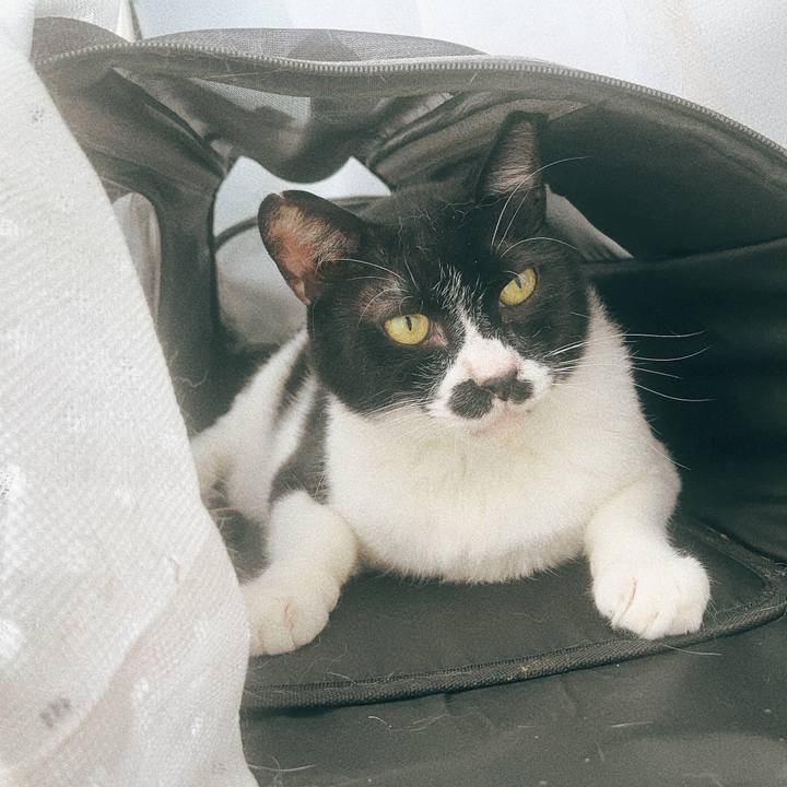 C8dbf271 ca67 460c a391 3d364bbba673 1691648548756