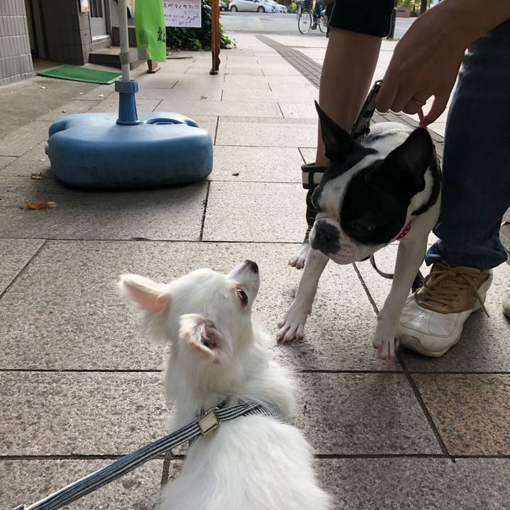 C8dc118b 6f13 405f b0b4 a163d7fffbbf 1540019933032