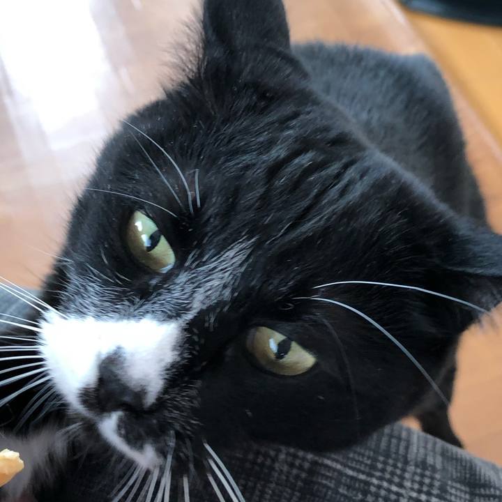 C8dc2ccd c706 4804 9b23 14ca663d0b91 1648870473063