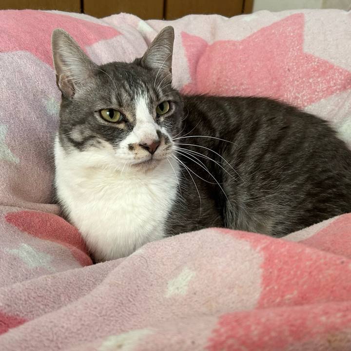 C8dc2f08 49d3 4540 9e15 eadaee03f607 1771457845132