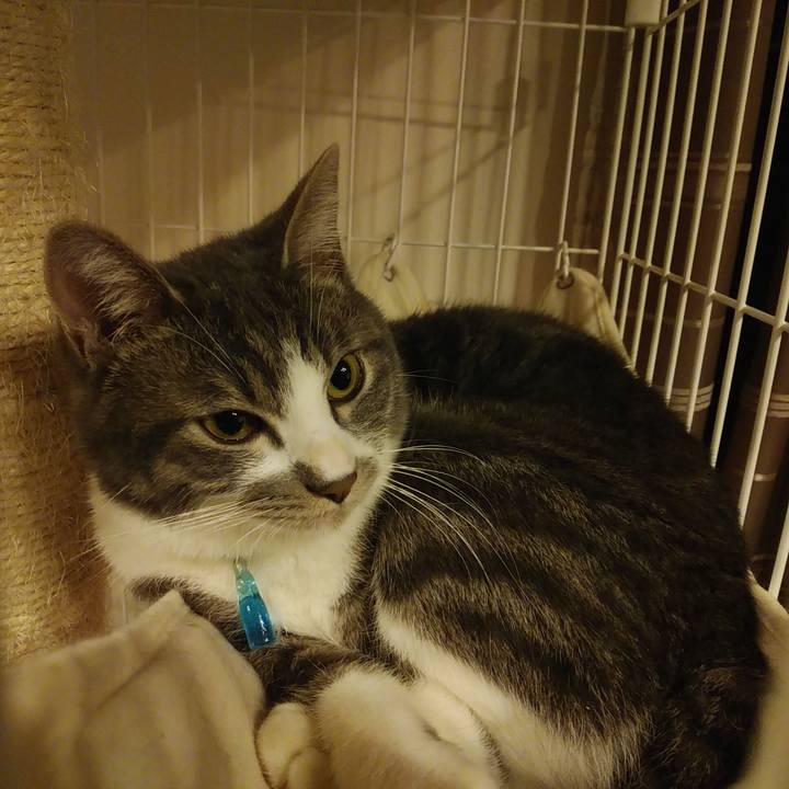 C8dc32b5 f62d 4174 98f1 074120ae34db 1578411909588