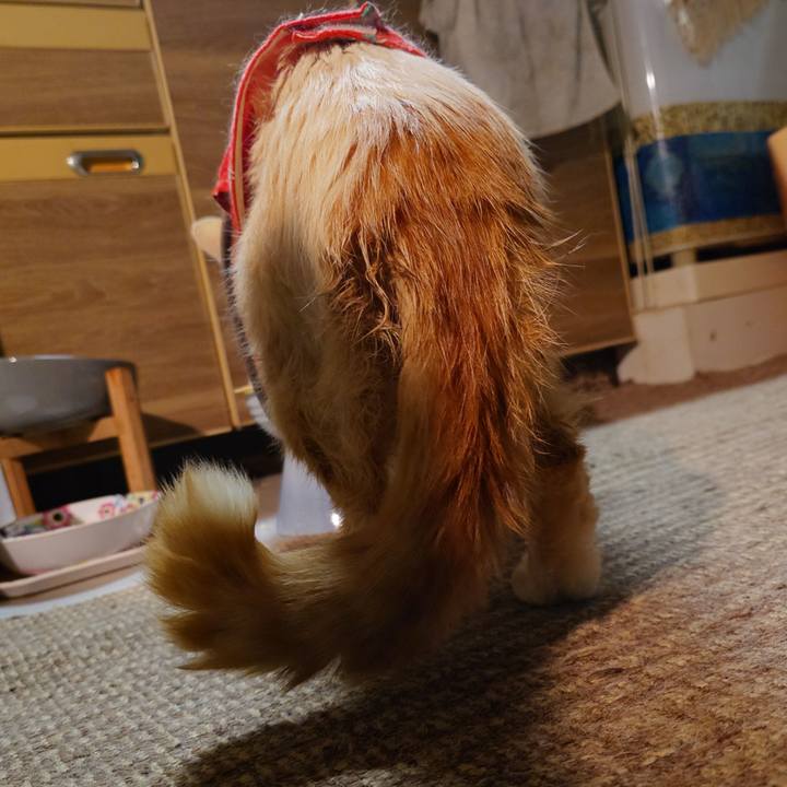 C8dc5c58 638f 4c77 bdcb e33bbab0583b 1767186026716