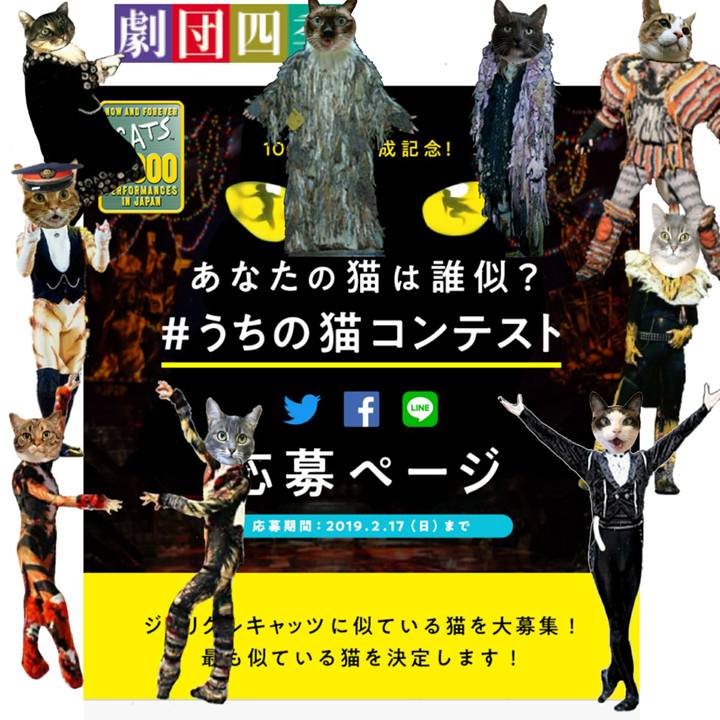 C8dc6553 1444 4f25 aee6 783981decfed 1547440300327