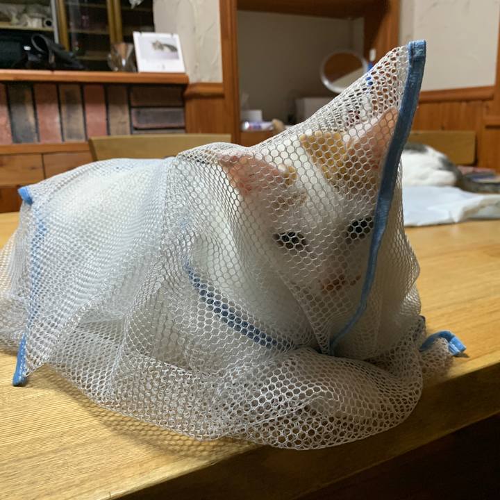 C8dc7547 8def 40dc a675 755a8f5a3945 1659446218366