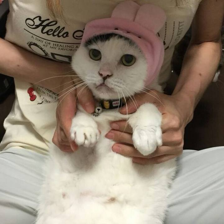 C8dc914d fa7d 44dc 8aca 362482fcf5d1 1546952220896