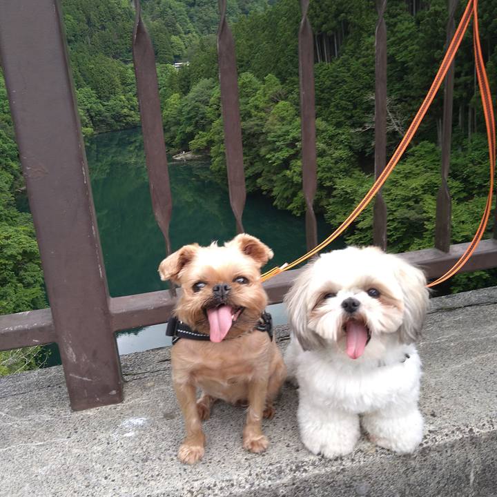 C8dcc0b8 1ae2 445f 90ec c6671d92c1c6 1621933712901