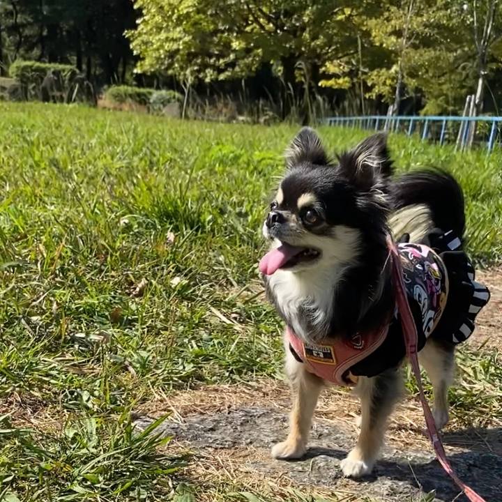 C8dccc47 7108 492b 9ecb e6116e82b275 1635566552501