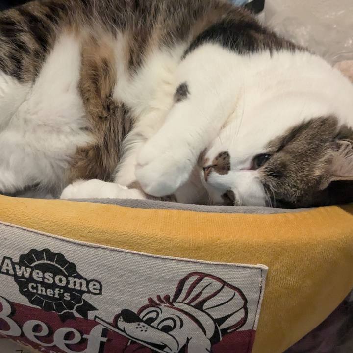 C8dcdbfa 2b56 4f6b 8c6c 587696655082 1744668651755