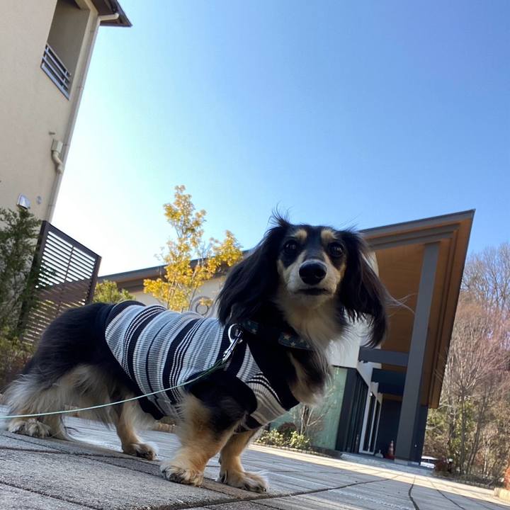 C8dd12bf 45e6 4b01 bc0f 08909bc3968d 1740811820416