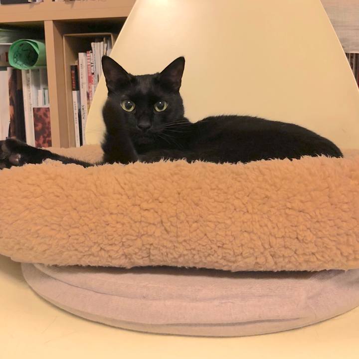 C8dd1333 e386 43d8 8de4 76c548005a45 1526387726323