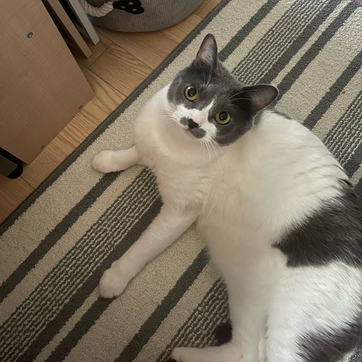 C8dd18d2 33de 4c9f 8570 c2f8afca1751 1755320841978