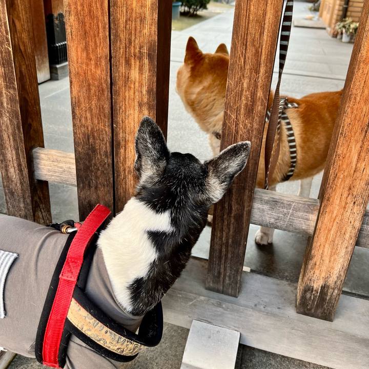 C8dd19c2 c4df 421f aa4d fab3b53213dd 1647082969406