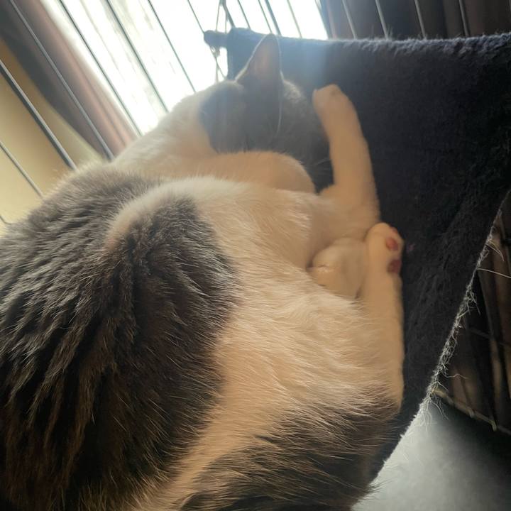 C8dd3668 bf40 4f7a 9093 740ffdb36423 1695256508737