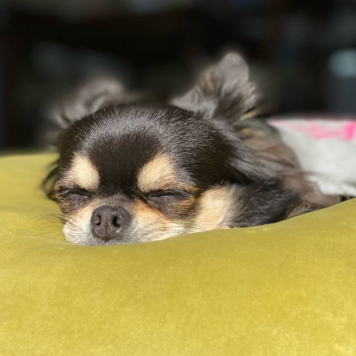 C8dd425e 3704 4018 8705 0ba0ef0b19b6 1605232245023