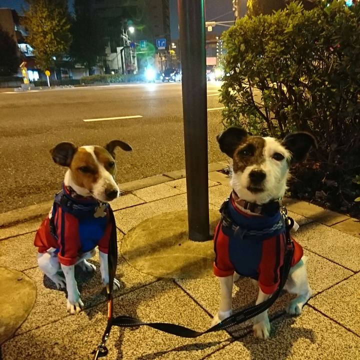 C8de18fc b15f 476f b39e edd90962f4e1 1540637069187