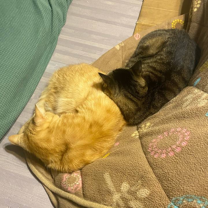 C8de1c44 bc05 4ec0 b077 7d2c6a386228 1610656367889