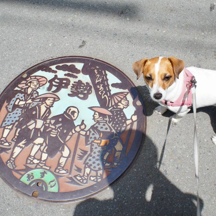 C8de2e69 d7df 4c4c 844b 7c9d03caa2dd 1735995140823