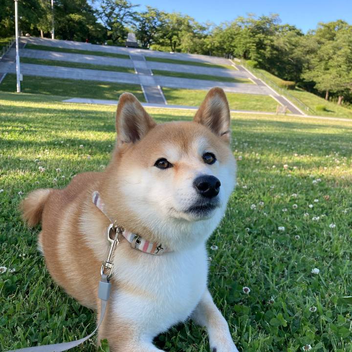 C8de2eec b1ce 4dec 9394 096fd42cf3fa 1685952373843