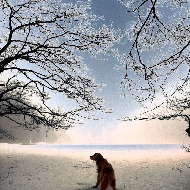 C8dea87c 5e34 400f 9eb8 793071df6c6b 1707033752457