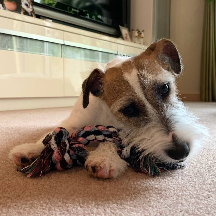 C8dea880 b4f4 4b1f b2e4 93b755d8c03b 1575938018436