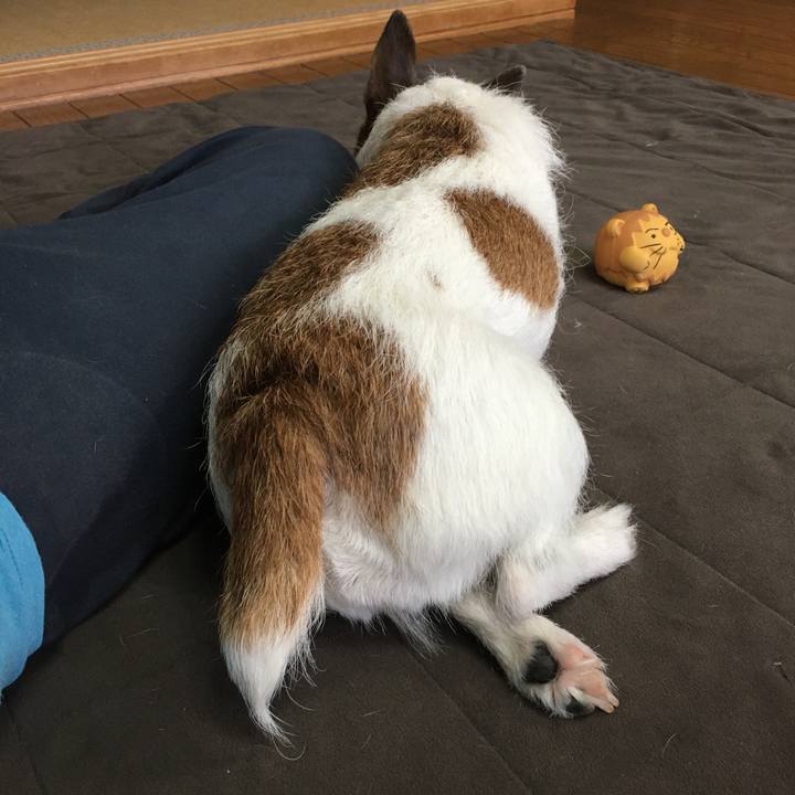 C8defe51 323e 462d 8ebd ffb2a1a01369 1630625218365