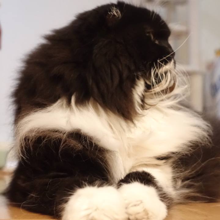 C8df259f b47c 4bd4 9611 da88fb57610b 1562343916606