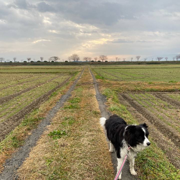 C8df3816 7545 4b25 9243 8a3fd26c5140 1670717288684