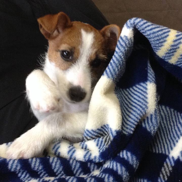 C8df47a2 bdc4 43cc 93ac 2f157da0cc79 1615850640304