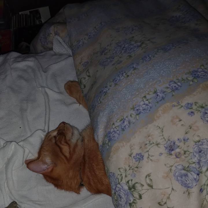 C8df8517 d409 43a3 ab48 83d0d2833680 1663697641504