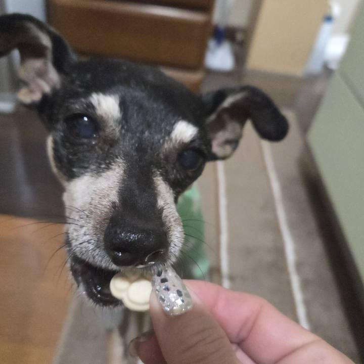 C8df8fef 476a 48bd ac08 53a9ac0b1665 1766692358970