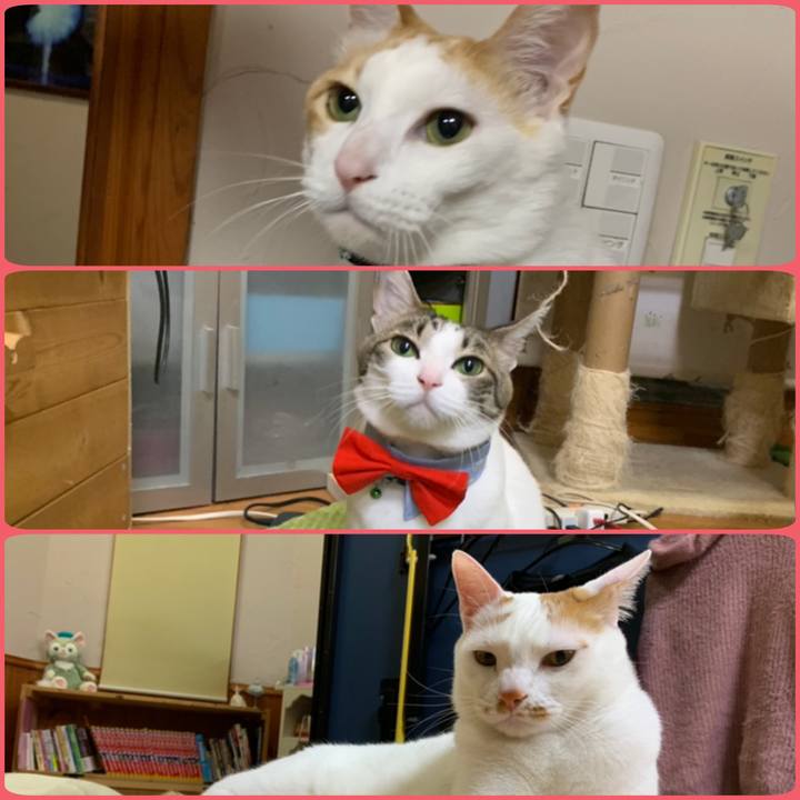 C8df9c10 d2ae 461f b39a fbd1bc706ce3 1557065677567