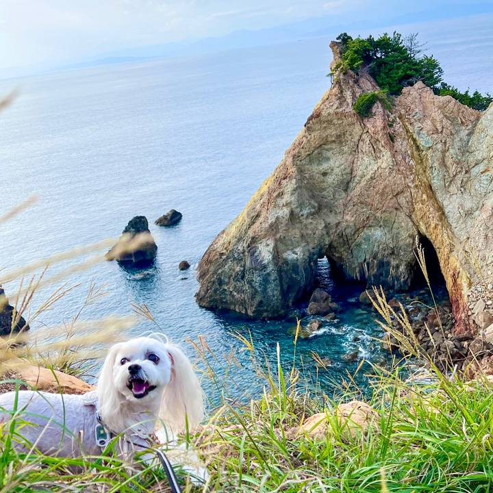 C8df9c8e 02cd 4b3a 9a70 728043b3f6b2 1696500427662