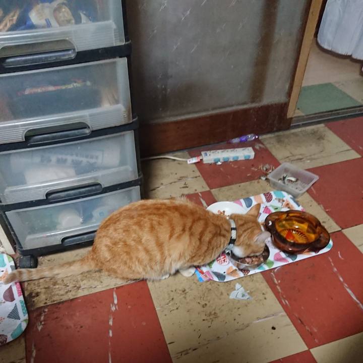 C8dfcb51 ad41 48d1 a078 141dec07c6a3 1589360247975