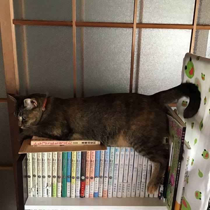 C8dffd84 e49f 4826 a1d6 36eaf2cfdce1 1630467828869