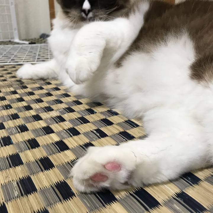 C8e04deb b9cc 4e4f 86ef d4af714545b9 1511960577631