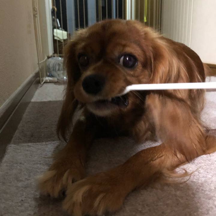 C8e05118 9efe 4696 8d6c b44e6d0826d0 1537620118327