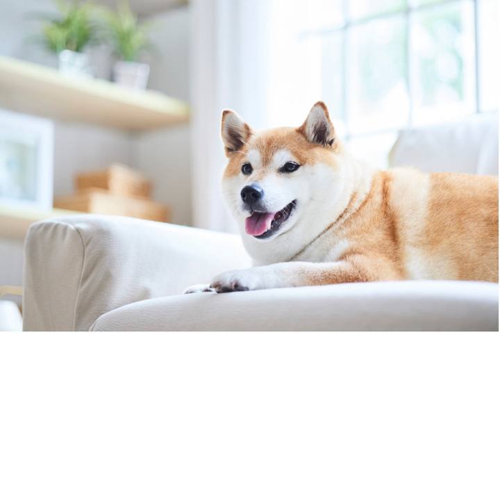 C8e05c78 ea9f 405d b90f 8eec8fa1f6ab 1688303101132