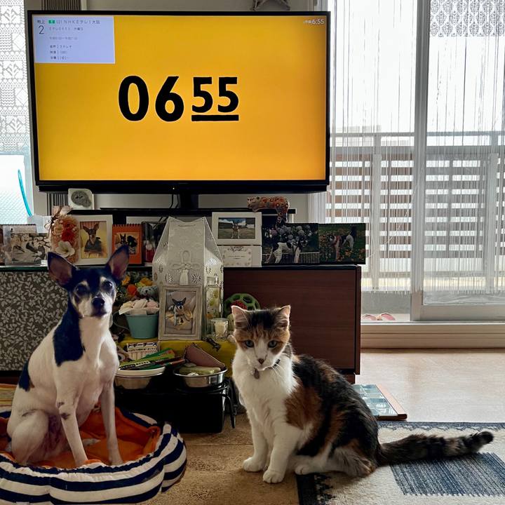 C8e0651f 44aa 4c2e 9ddb 0ef2f47ce212 1688508381793