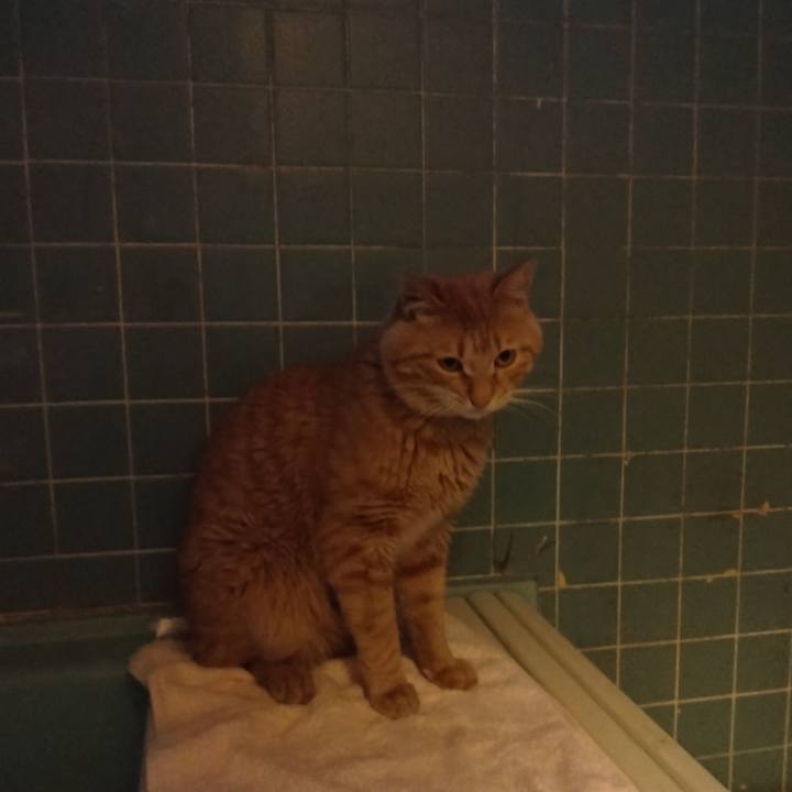 C8e07ed5 9db7 4f6d a00d 15246b6952f9 1682243578042