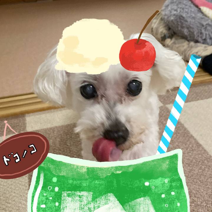 C8e0a30c a89c 4372 80e7 1633165a0b5a 1755245776969