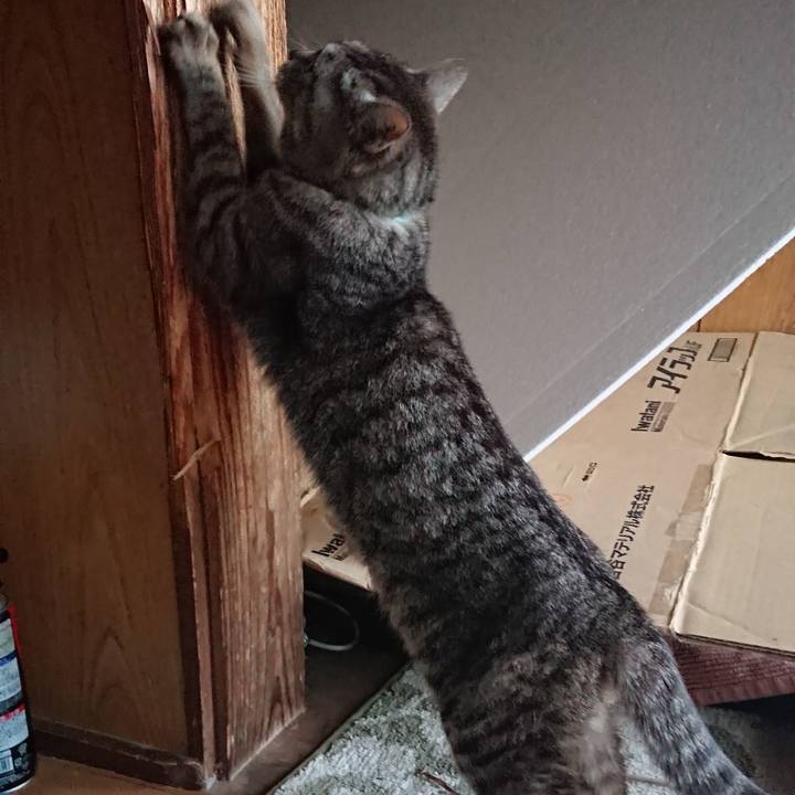 C8e0c1a6 0a8e 42f4 9735 9e7c9d85de4d 1552122345958