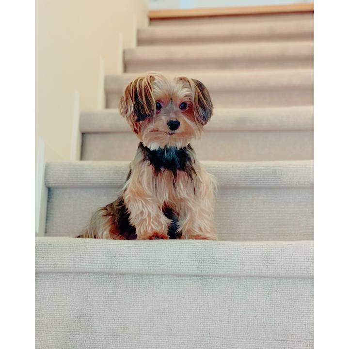 C8e0e9be 0ff3 4309 ba3d c6c465643e7f 1568854138903