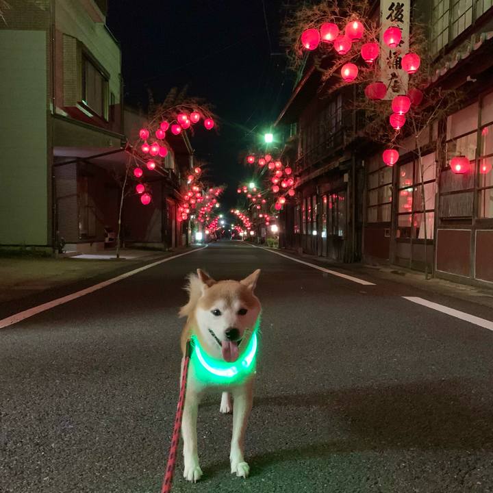 C8e0f4ba 48a4 479d 9f51 31fa988d6d44 1689335237528