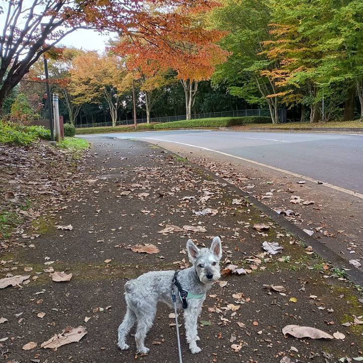 C8e100ca 7b0b 4291 9151 9cced928f10a 1762172692694