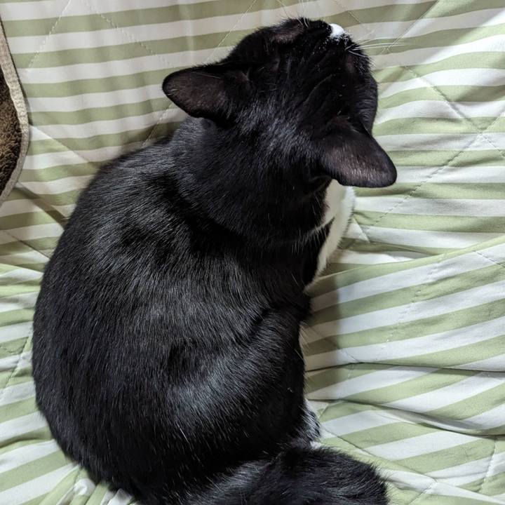 C8e1190f 64b0 4731 8cc5 e8e5aab5b0d5 1700192213044