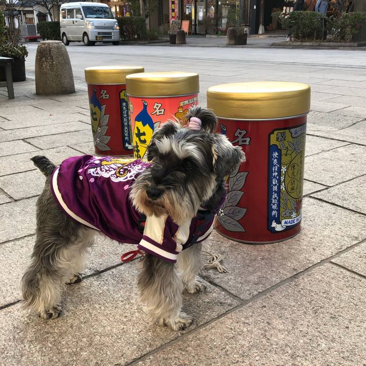 C8e11f67 ca49 4a18 bd4e a2f177036a83 1613223409606